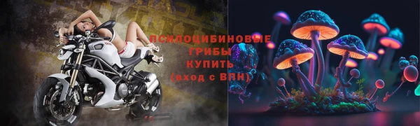 прущий лед Костерёво