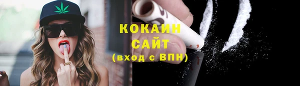 прущий лед Костерёво