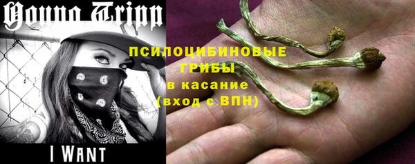 прущий лед Костерёво