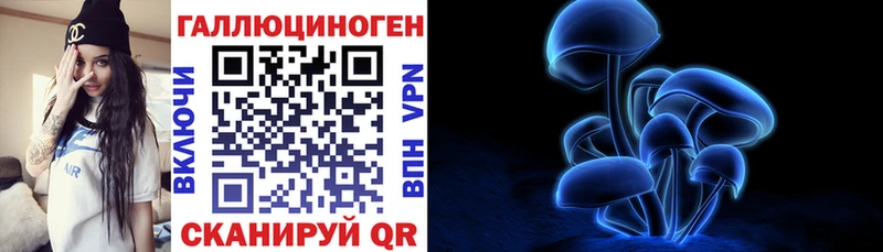 Галлюциногенные грибы Psilocybine cubensis  Купить закладки  Новоалександровск 